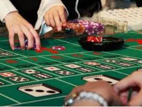 乐天堂app电脑免费版